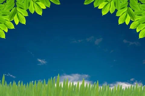 Green leaves on white background , frame Stock Illustration