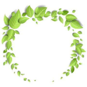 Green leaves on white background Stock Illustration
