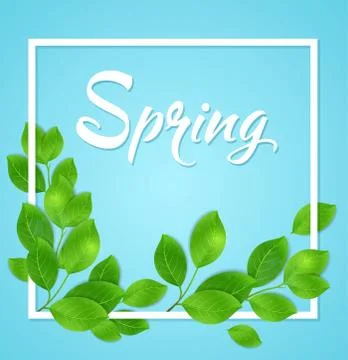 Green leaves in white frame Stock Illustration