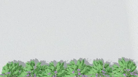 Green Leaves on White Wall Bottom Frame Video stock 320828805