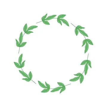 Green leaves wreath frame isolated on white, botanical circle border for wedding Stock-Illustration