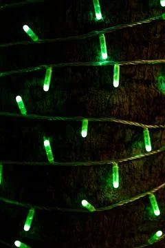 Green LED String Lights Wrapped Around Tree Trunk at Night Stock Photos