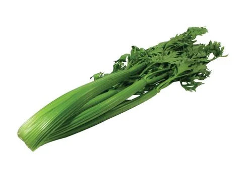 Green leek 스톡 사진