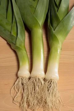 Green leeks Stock Photos