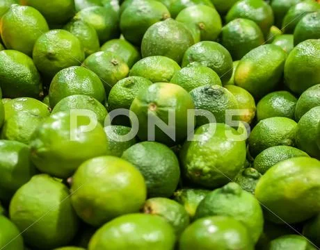 Green lemon on display at farmers market Stock Photos