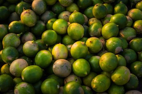 Green lemon Stock Photos