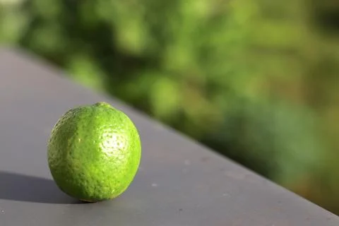 Green Lemon Stock Photos
