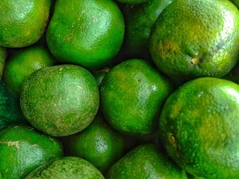 Green lemon Stock Photos