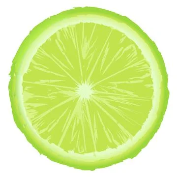 Green lemon slice isolated on white background Stock Illustration
