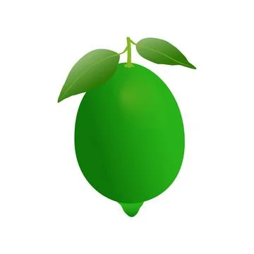Green lemon vector design Stock Illustration