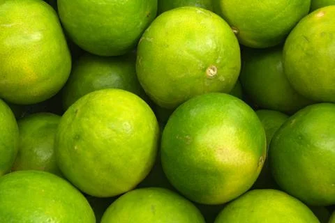 Green lemons Stock Photos