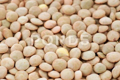 Green lentil background Stock Photos