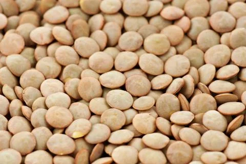 Green lentil background Stock Photos
