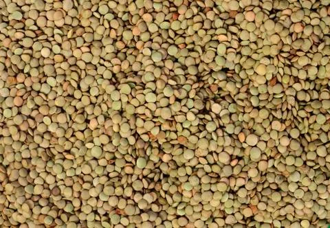 Green lentil background Stock Photos