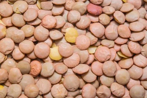 Green lentil background, texture Stock Photos