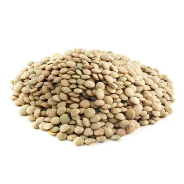 Green lentil Foto stock