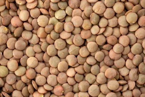 Green lentil  texture Stock Photos