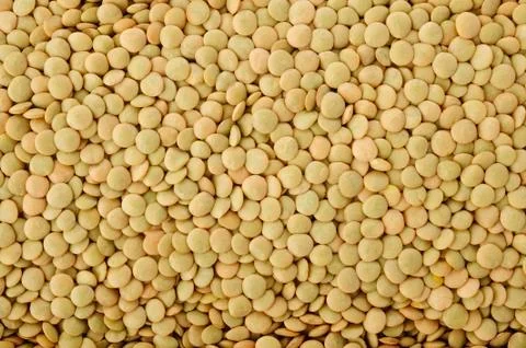 Green lentils background Stock-Fotos