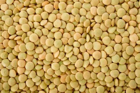 Green lentils background Stock Photos