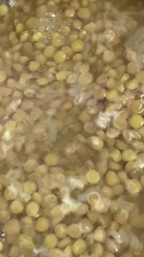 Green lentils boiling in water inside a metal pot Video stock 331973781