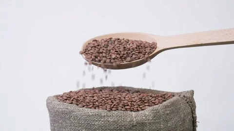 Green lentils in a burlap sack Stock Footage 305854174