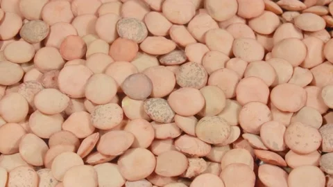 Green lentils close up. Macro image. 4K video. Organic legumes. Stockbeeldmateriaal 140681395