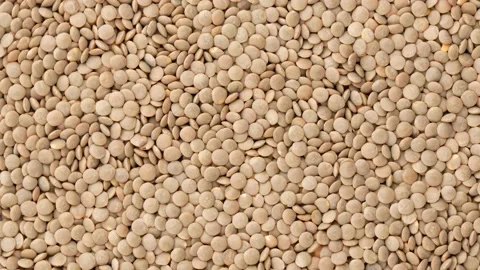 Green lentils, rotation. Video stock 140433612