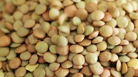 Green Lentils seed falling down at rotating stand - close up Vídeo Stock 35948082