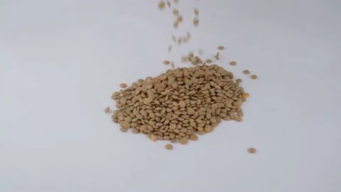 Green lentils slow motion Video stock 236452934