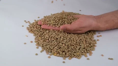 Green lentils slow motion Stock-Footage 236453015