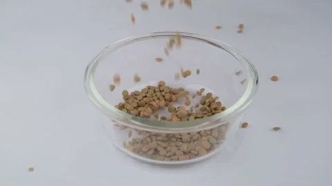Green lentils slow motion Stock Footage 236453244