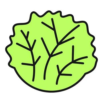 Green lettuce leaf fresh salad vegetable icon Illustrazione stock