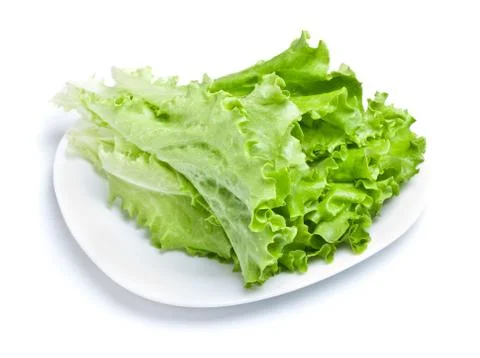 Green lettuce Foto stock