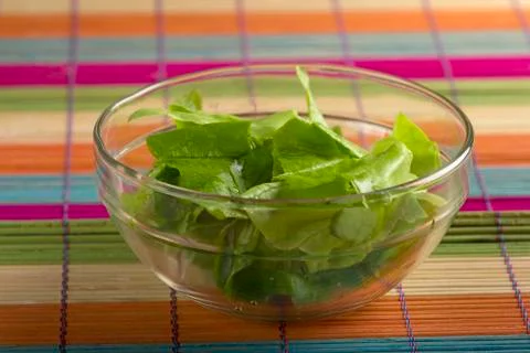 Green lettuce Stock Photos