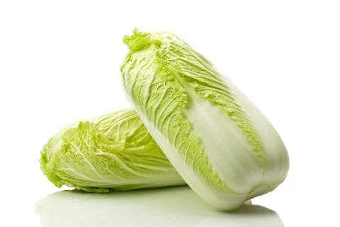 Green lettuce Stock Photos