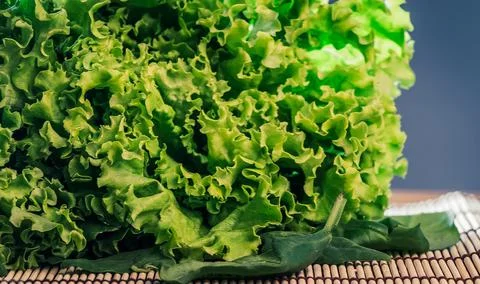 Green Lettuce on the table Fotos de archivo
