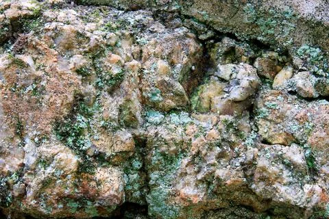 Green lichen growing on rouch patterned rock face. Stock Photos