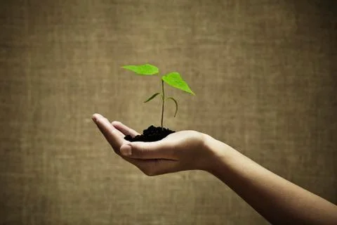 Green life Stock Photos