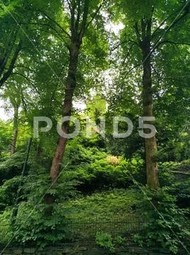 Green Life Stock Photos