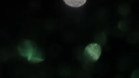 Green light bokeh background video in slow motion Vídeos de archivo 318365083