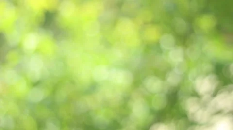Green Light Bokeh Stock Footage 46114730