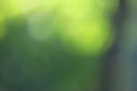 Green Light Bokeh Texture Background Backdrop Stock Photos