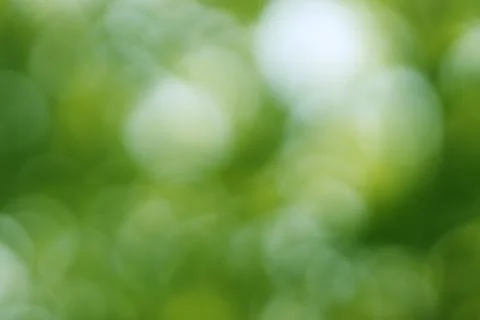 Green Light Bokeh Texture Background Backdrop Stock Photos