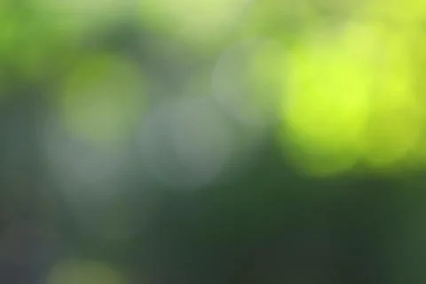 Green Light Bokeh Texture Background Backdrop Foto stock