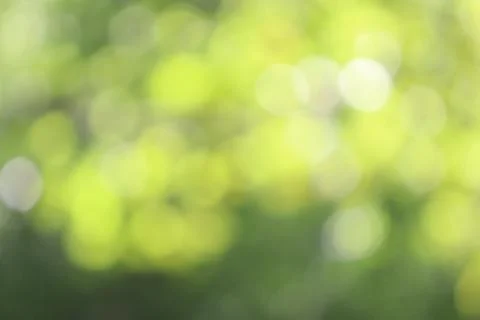 Green Light Bokeh Texture Background Backdrop Foto stock