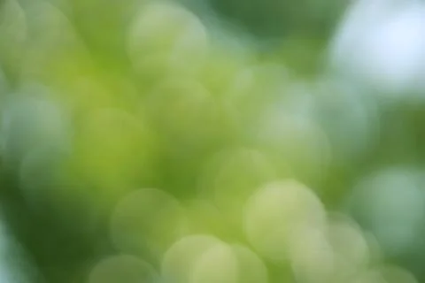 Green Light Bokeh Texture Background Backdrop Stock Photos