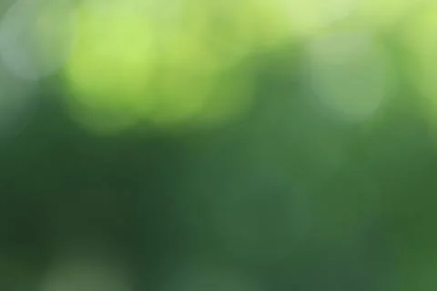 Green Light Bokeh Texture Background Backdrop Stock Photos