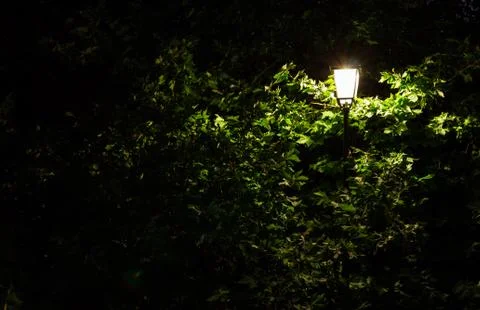 Green light Stock Photos