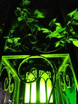 Green Light Foto stock