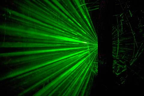 Green light rays spreading from a tree trunk at night. Stock Photos